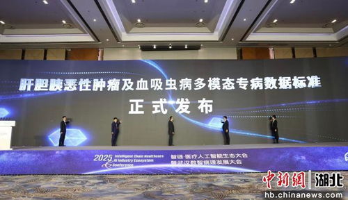 2025智鏈醫(yī)療人工智能生態(tài)大會(huì)啟幕，智能技術(shù)驅(qū)動(dòng)醫(yī)療健康新未來(lái)